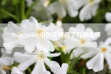 德清中国金牌得了几枚金牌