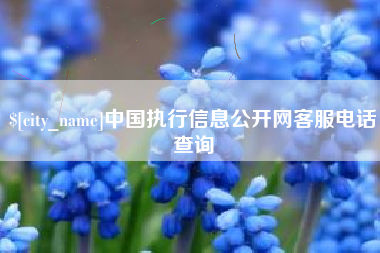 德清中国执行信息公开网客服电话查询