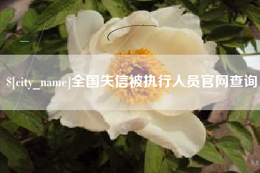 德清全国失信被执行人员官网查询