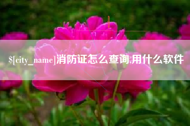 德清消防证怎么查询,用什么软件