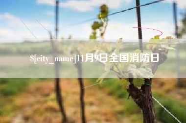 德清11月9日全国消防日