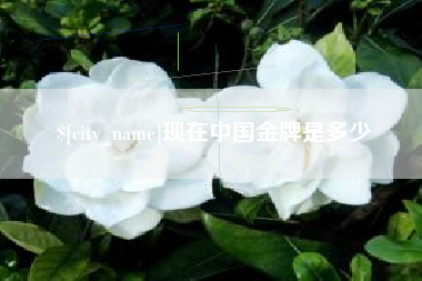 德清现在中国金牌是多少