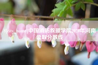 德清中国消防救援学院2020年河南录取分数线