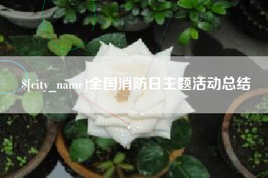 德清全国消防日主题活动总结