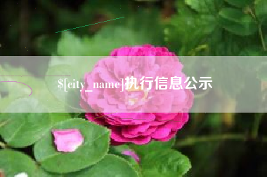 德清执行信息公示