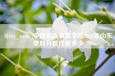 德清中国消防救援学院2021年山东录取分数线是多少