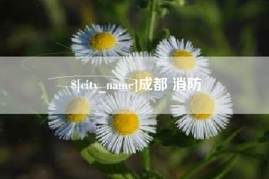 德清成都 消防