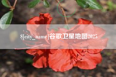 德清谷歌卫星地图2025
