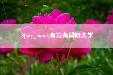 德清有没有消防大学