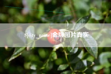 德清金牌图片真实