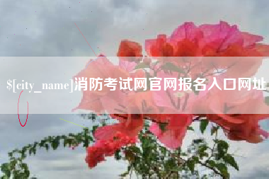 德清消防考试网官网报名入口网址