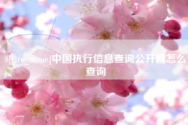 德清中国执行信息查询公开网怎么查询