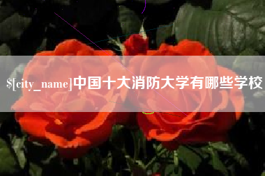德清中国十大消防大学有哪些学校