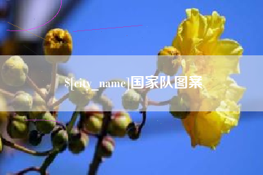 德清国家队图案