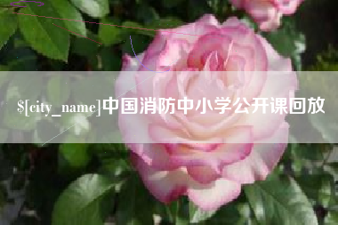 德清中国消防中小学公开课回放