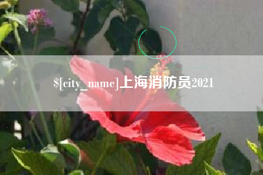 德清上海消防员2021