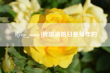 德清我国消防日是每年的