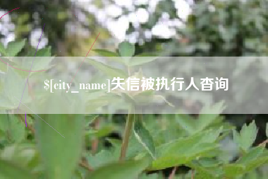 德清失信被执行人杳询