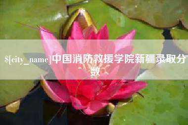 德清中国消防救援学院新疆录取分数