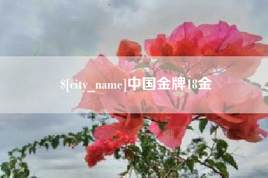 德清中国金牌18金