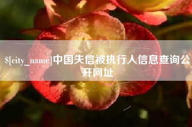 德清中国失信被执行人信息查询公开网址