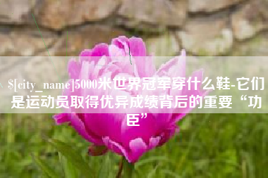 德清5000米世界冠军穿什么鞋-它们是运动员取得优异成绩背后的重要“功臣”