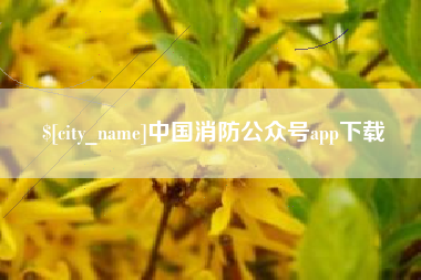 德清中国消防公众号app下载