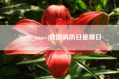 德清我国消防日是哪日