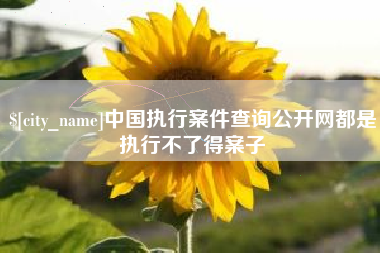 德清中国执行案件查询公开网都是执行不了得案子