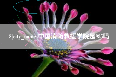 德清中国消防救援学院是985吗