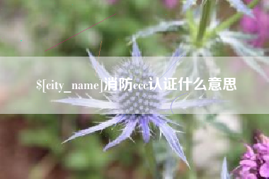德清消防ccc认证什么意思