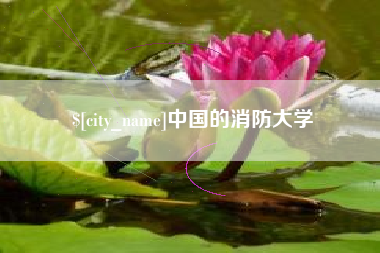 德清中国的消防大学