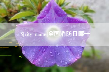 德清全国消防日哪一