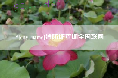 德清消防证查询全国联网