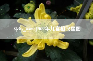 德清2022年九宫格飞星图