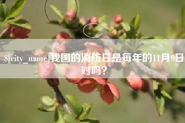 德清我国的消防日是每年的11月9日对吗？