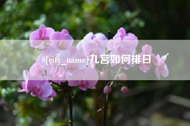 德清九宫如何排日