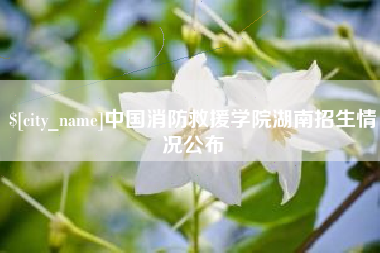 德清中国消防救援学院湖南招生情况公布