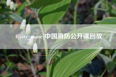 德清中国消防公开课回放