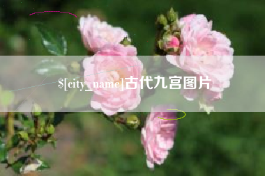 德清古代九宫图片
