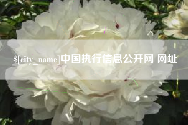 德清中国执行信息公开网 网址