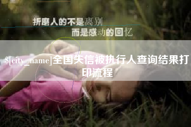 德清全国失信被执行人查询结果打印流程