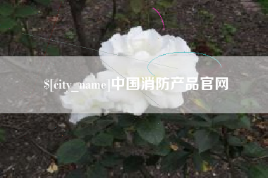 德清中国消防产品官网
