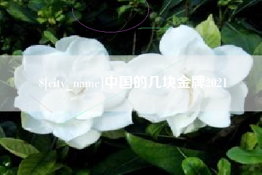 德清中国的几块金牌2021
