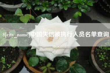 德清中国失信被执行人员名单查询