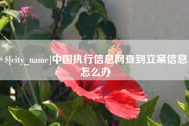 德清中国执行信息网查到立案信息怎么办