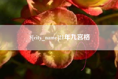德清21年九宫格