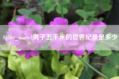 德清男子五千米的世界纪录是多少