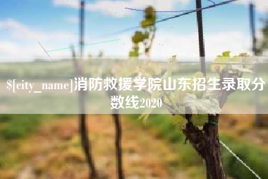 德清消防救援学院山东招生录取分数线2020