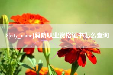 德清消防职业资格证书怎么查询